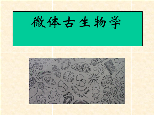 第一章   微体古生物绪论