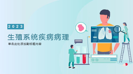 生殖系统疾病病理