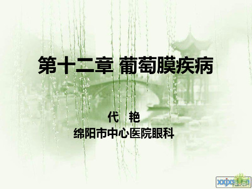 葡萄膜病1