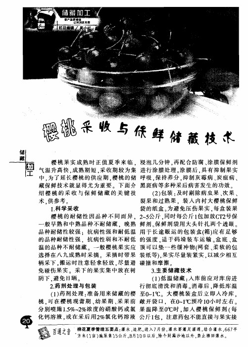 樱桃采收与保鲜储藏技术