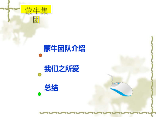 蒙牛团队简要介绍