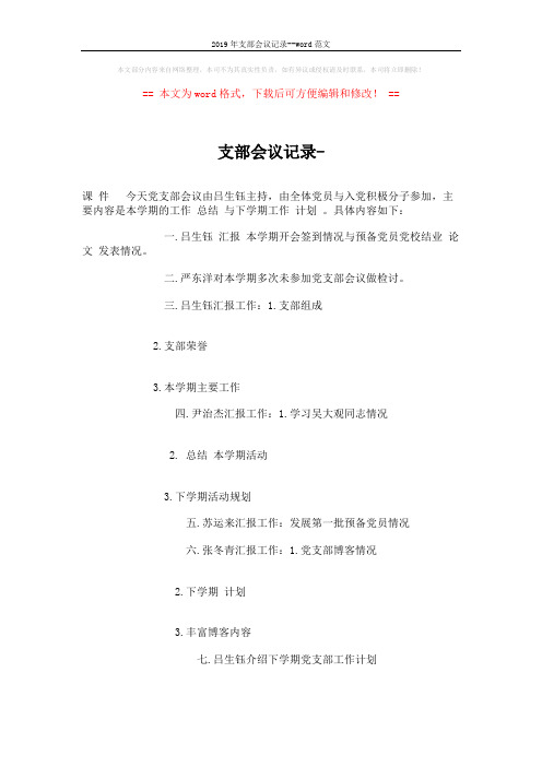 2019年支部会议记录--word范文 (2页)