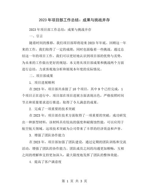 2023年项目部工作总结：成果与挑战并存