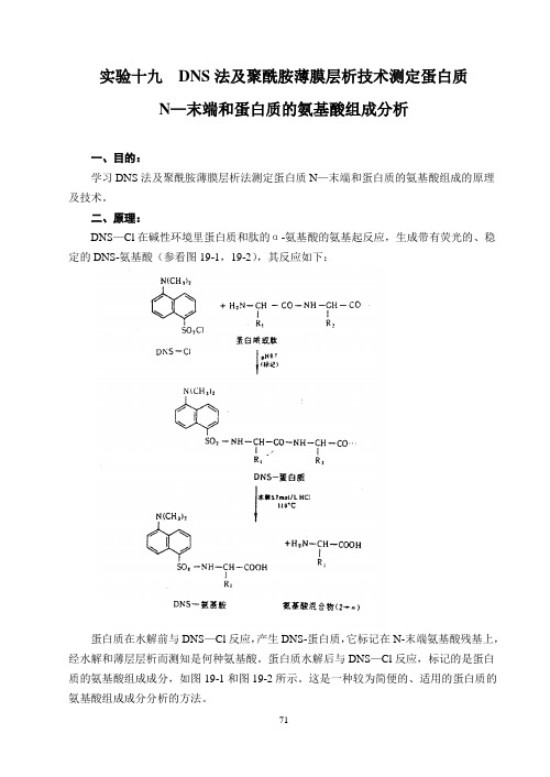 经典生理生化试验2