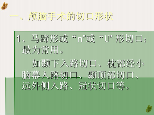 神经外科手术入路与体位课件PPT