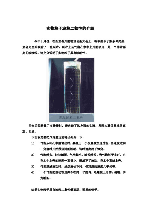 实物粒子的波粒二象性