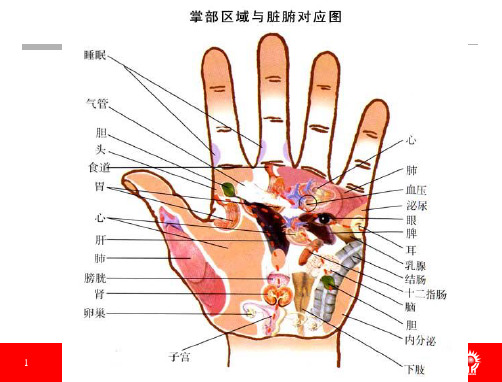 倡导健康生活,追求幸福人生(培训讲座PPT课件