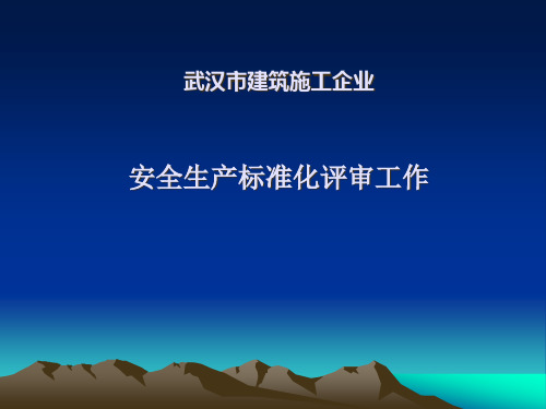 武汉市建筑施工企业安全生产标准化评审