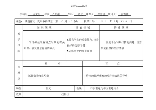 我眼中的风景作文教案