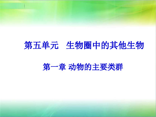 人教版七年级上册5.1.1腔肠动物(第一课时)课件(共23张PPT)