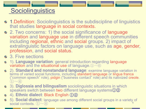 Sociolinguistics社会语言学