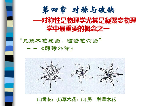 第四章 对称与破缺