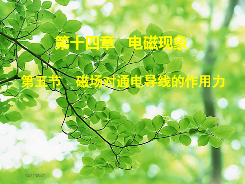 九年级物理 14.5 磁场对通电导线的作用力课件1物理课件