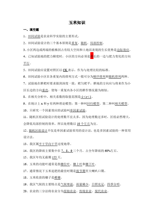 玉米知识