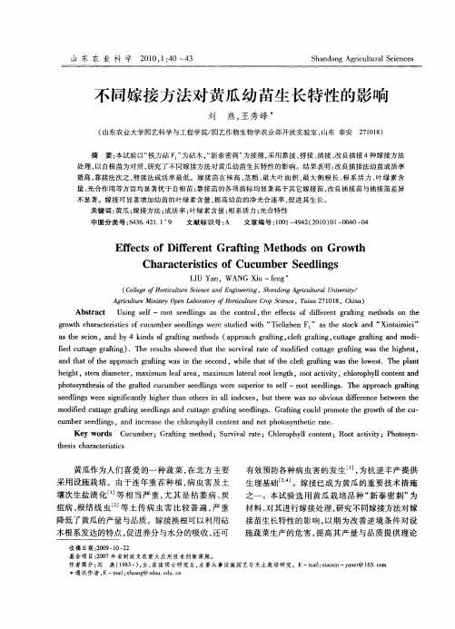 不同嫁接方法对黄瓜幼苗生长特性的影响