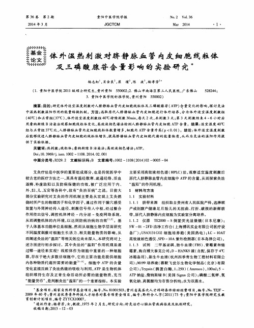 体外温热刺激对脐静脉血管内皮细胞线粒体及三磷酸腺苷含量影响的实验研究