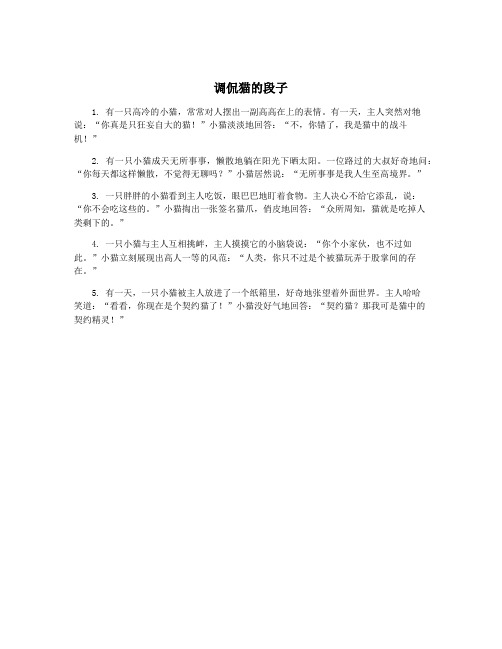 调侃猫的段子