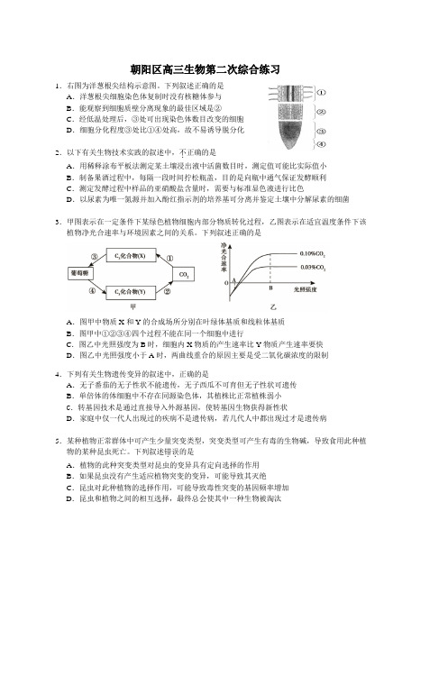 朝阳区高三生物第二次综合练习