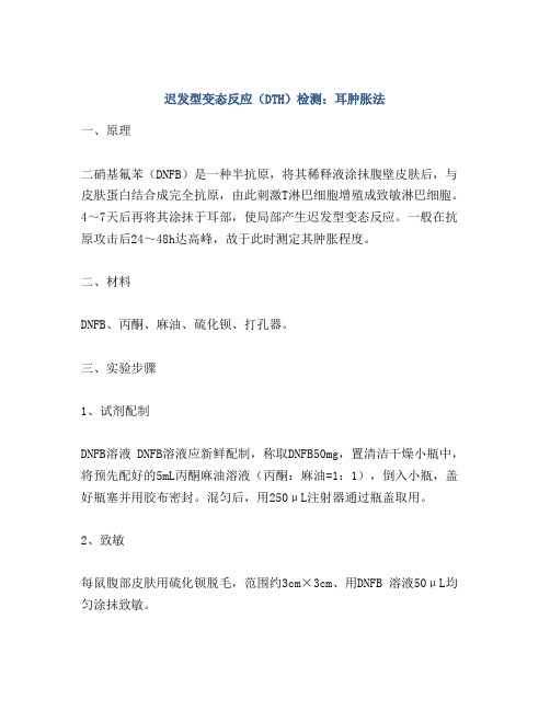 迟发型变态反应(DTH)检测：耳肿胀法