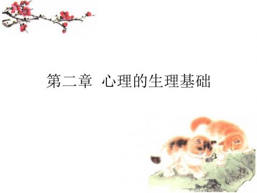 第二章  心理的生理基础