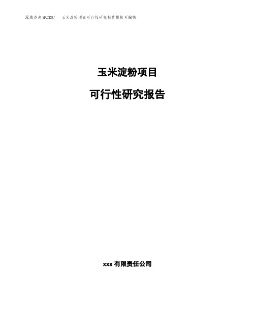 玉米淀粉项目可行性研究报告模板可编辑