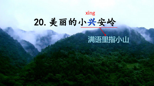 20《美丽的小兴安岭》课件(共36张PPT)