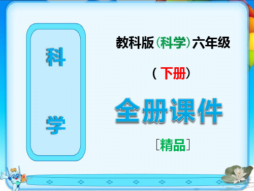 教科版六年级科学下册全册全套课件