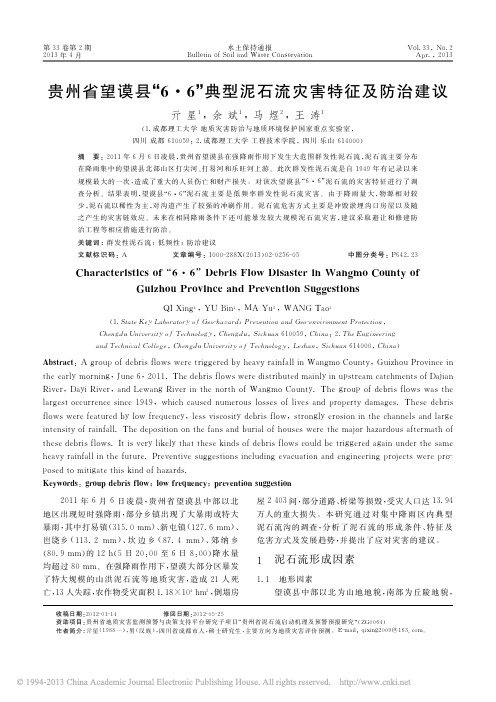 贵州省望谟县_6_6_典型泥石流灾害特征及防治建议_亓星