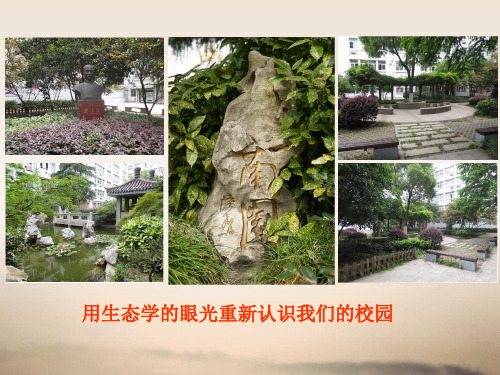 九年级下科学《生物群落》PPT实用课件浙教版