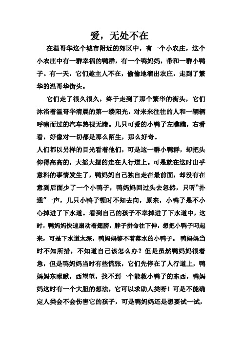 爱,无处不在薛怡然