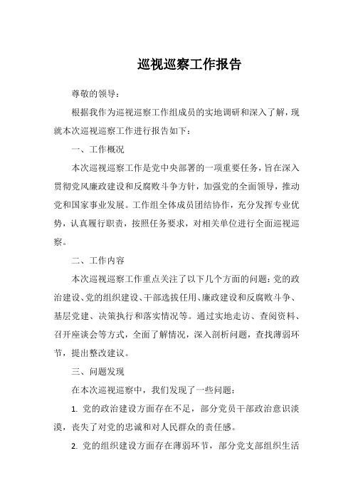 巡视巡察工作报告