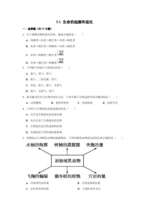 济南版生物八年级下册生命的起源和进化