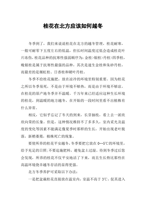 桂花在北方应该如何越冬