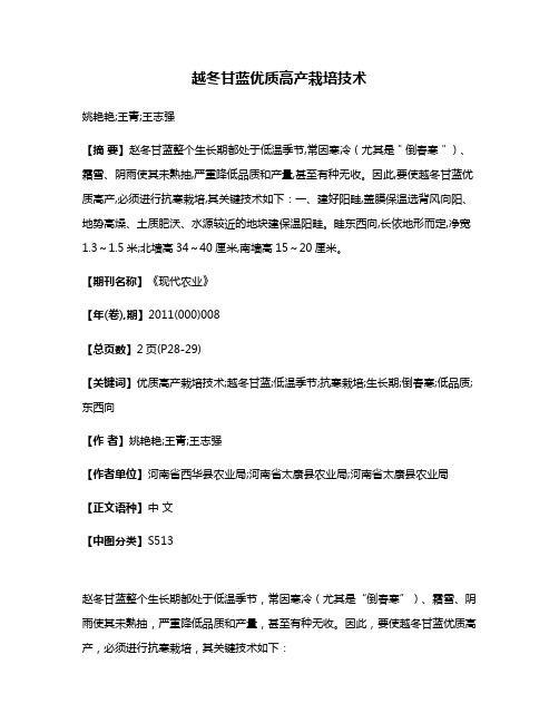 越冬甘蓝优质高产栽培技术