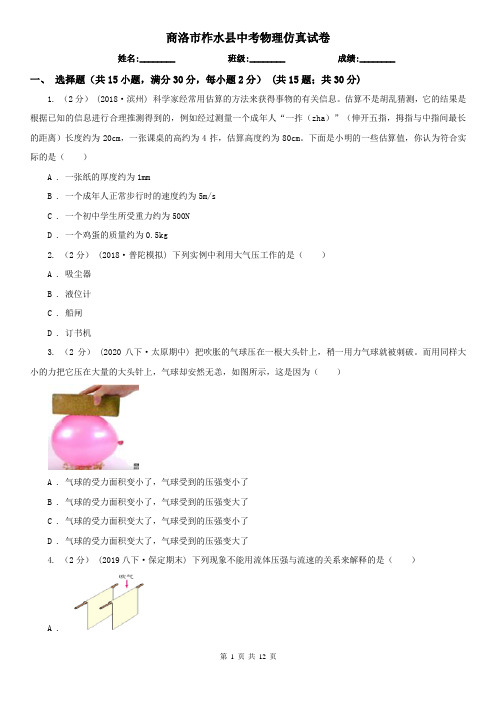 商洛市柞水县中考物理仿真试卷