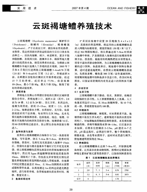 云斑褐塘鳢养殖技术