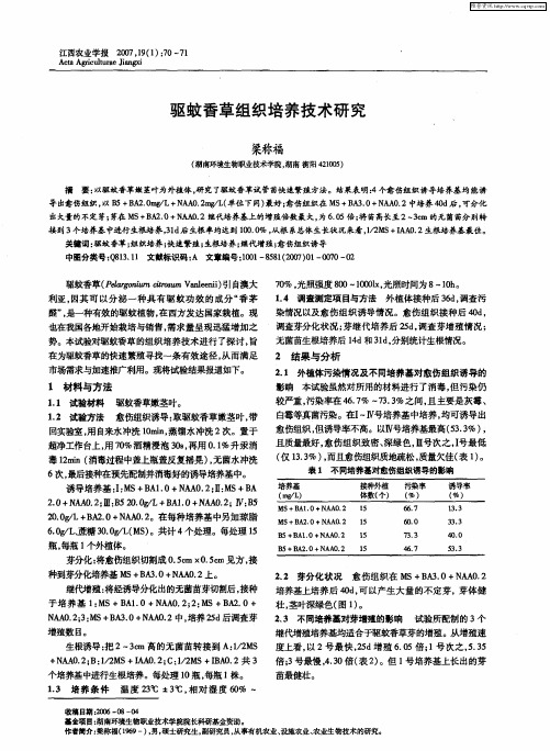 驱蚊香草组织培养技术研究