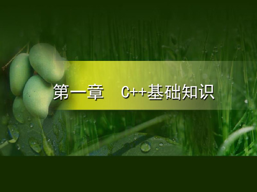 第一章  C++基础知识