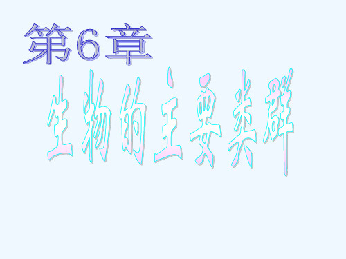 动物的主要类群教学课件