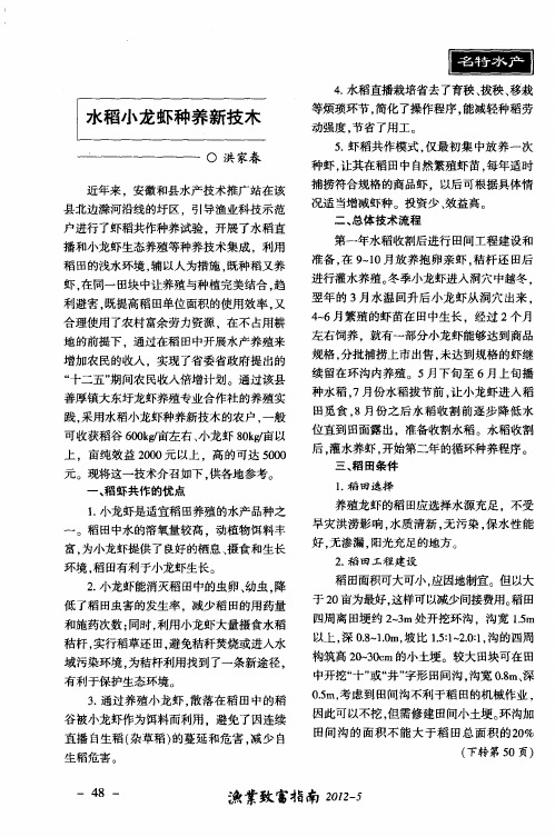 水稻小龙虾种养新技术