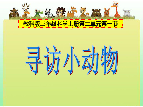 《寻访小动物》PPT公开课课件教科版小学1