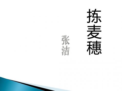 《拣麦穗》PPT优秀课件2