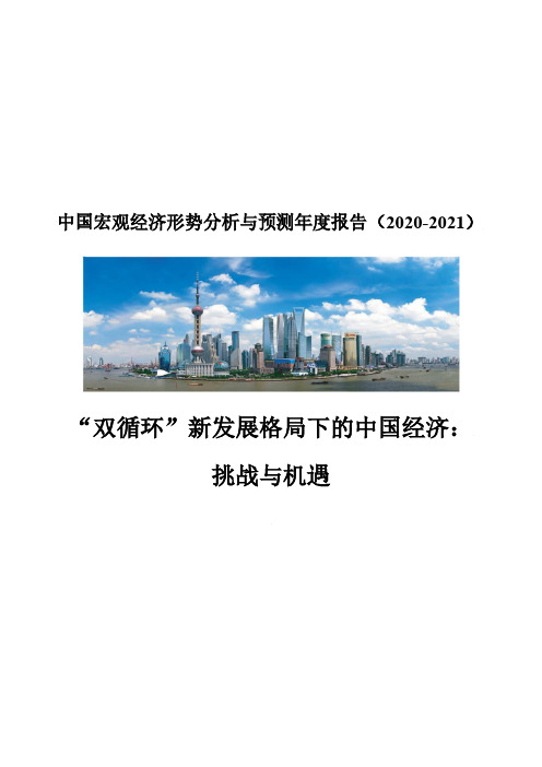 2020-2021年中国宏观经济形势分析与预测年度报告