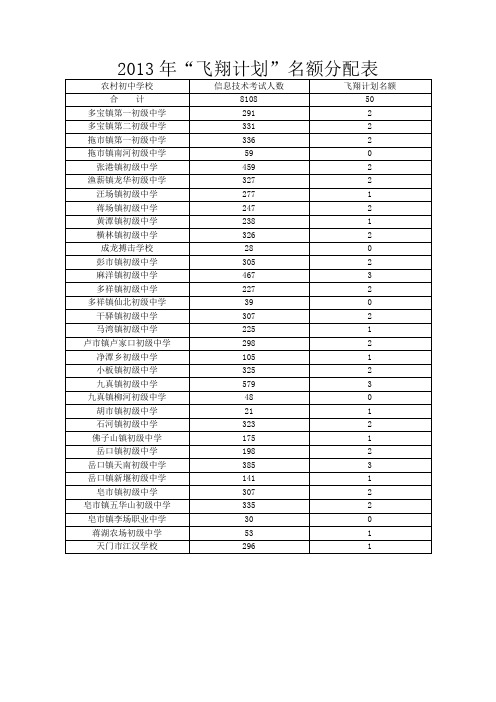 2013年“飞翔计划”名额分配表【模板】
