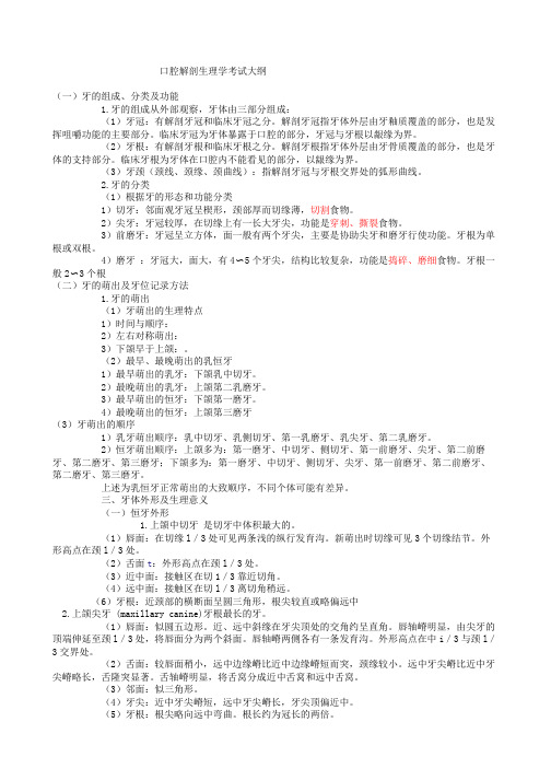 口腔解剖生理学复习重点