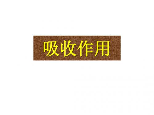北师大版七年级生物上册： 吸收作用