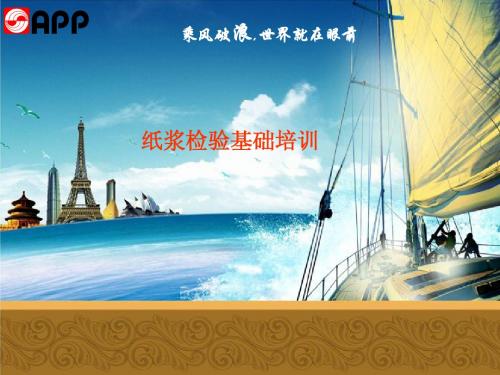 纸浆检验培训