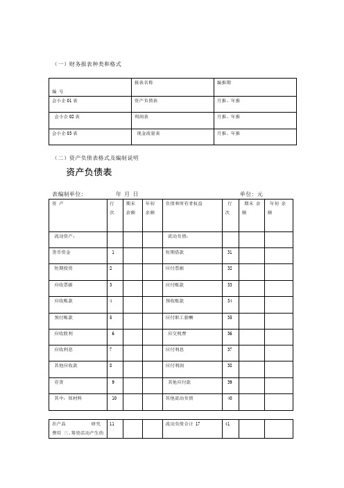 财务报表版及填表说明