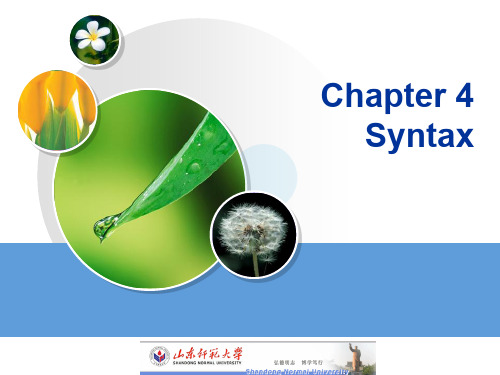 Chapter 4 Syntax