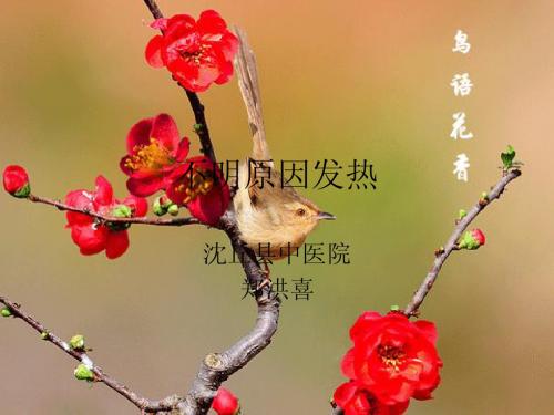 不明原因发热2